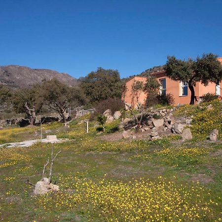 Finca El Rabilargo Arroyomolinos de Montánchez Εξωτερικό φωτογραφία