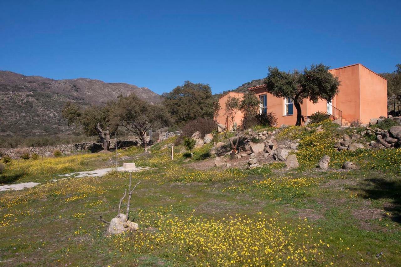 Finca El Rabilargo Arroyomolinos de Montánchez Εξωτερικό φωτογραφία